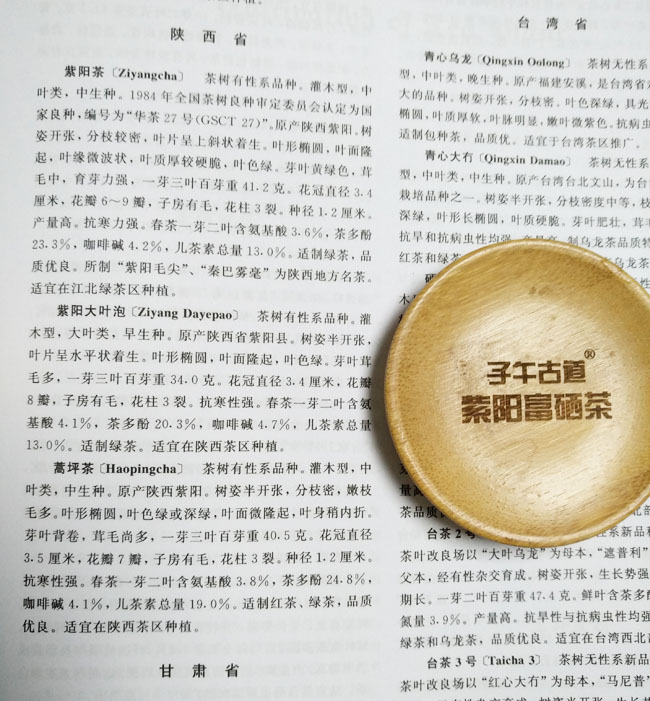 《中国茶叶大辞典》对紫阳蒿坪茶种的介绍
